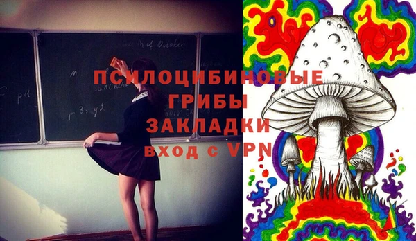 ГАЛЛЮЦИНОГЕННЫЕ ГРИБЫ Магас