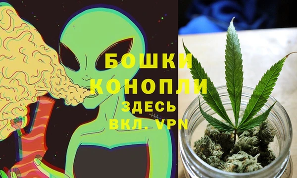сатива Майский