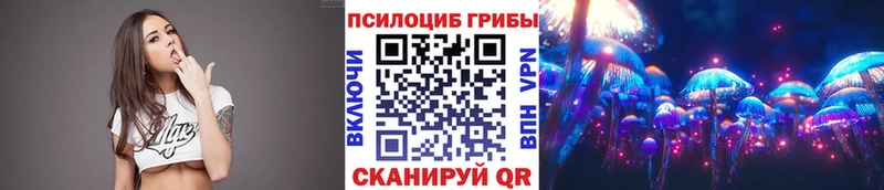 кракен рабочий сайт Новомичуринск Галлюциногенные грибы Magic Shrooms